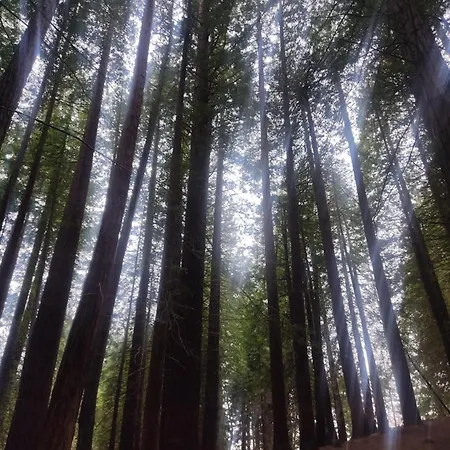 Naturaleza Playas Y Montanas Apartment *