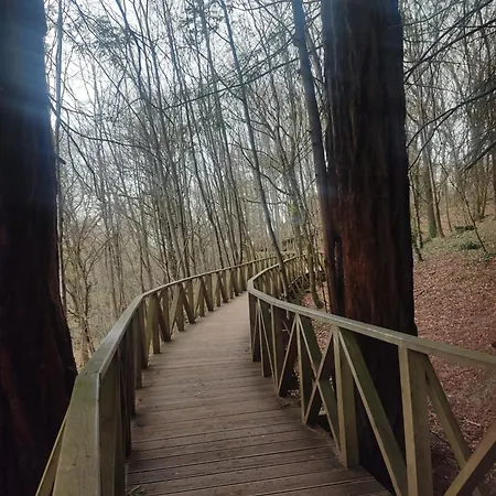 Naturaleza Playas Y Montanas *