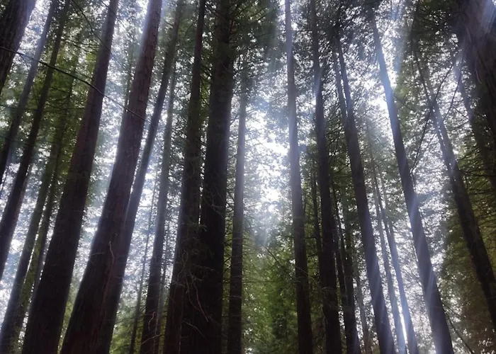 Naturaleza Playas Y Montanas Apartment *