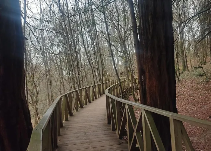 Naturaleza Playas Y Montanas *